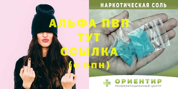 сатива Надым