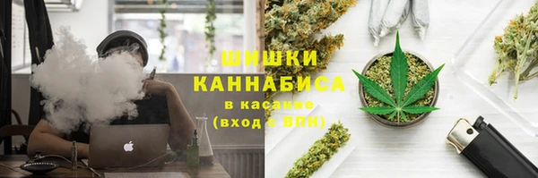 PSILOCYBIN Балахна