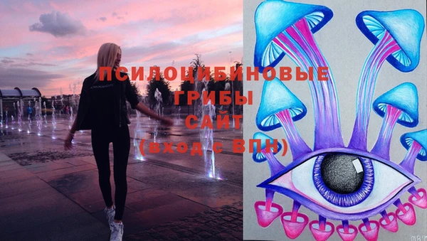 PSILOCYBIN Балахна