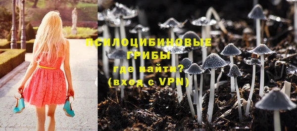 PSILOCYBIN Балахна