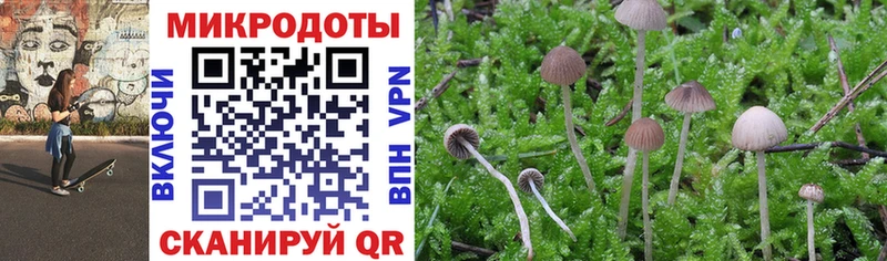 Псилоцибиновые грибы GOLDEN TEACHER  Тосно 