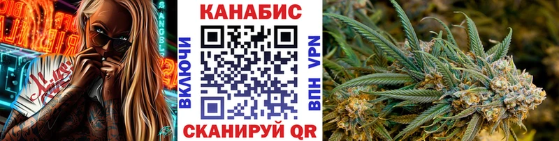 наркошоп  Тосно  мориарти официальный сайт  Каннабис план 